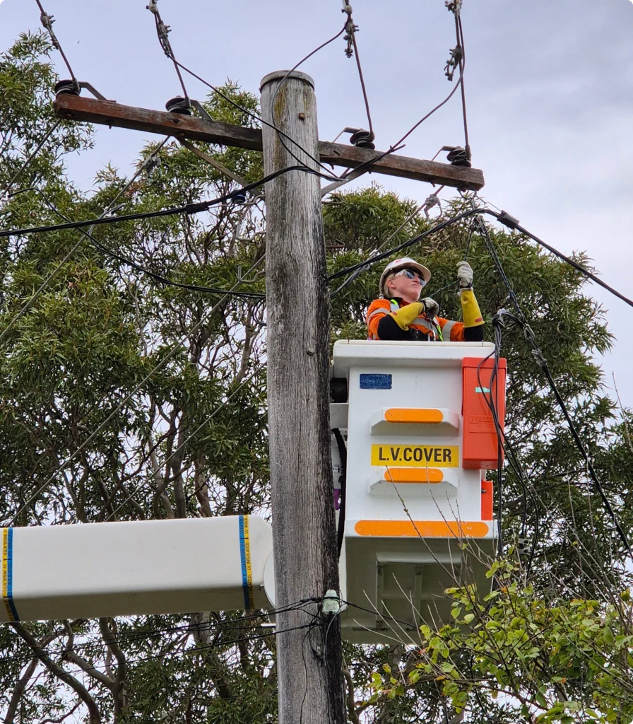 Professional Disconnect & Reconnect Services