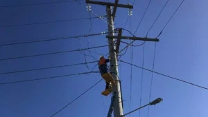 What does a Level 2 electrician do